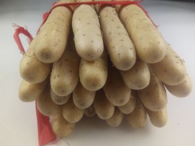 2019 fresh Chinese yam 5 pounds Cooking White mouth White yam Iron rod Iron yam