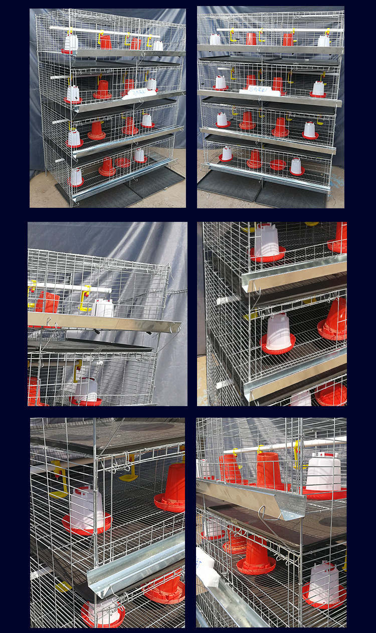 9235247588_423296225