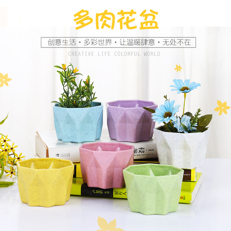 厂家直销小八角多肉花盆 多彩时尚植物小花盆 创意透气树脂花盆|ms