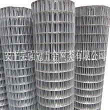 100卷起订 镀锌铁丝网 涂塑电焊网