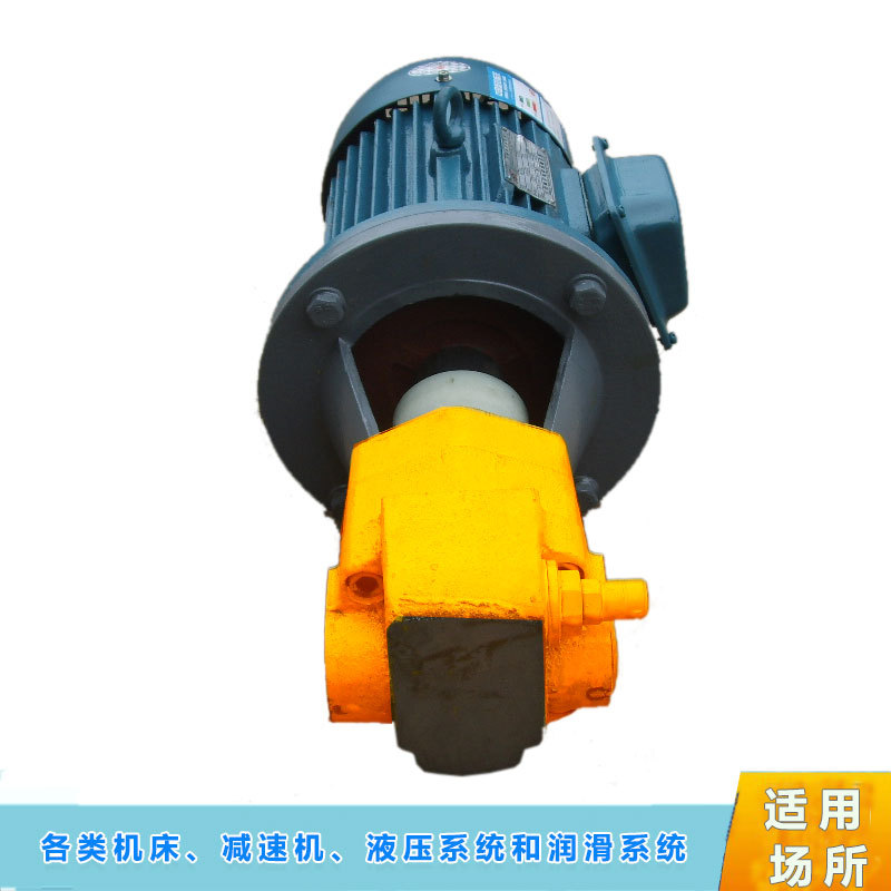 BB-B16 20 25 32YJZ摆线齿轮泵电机组 立卧式油泵电机组