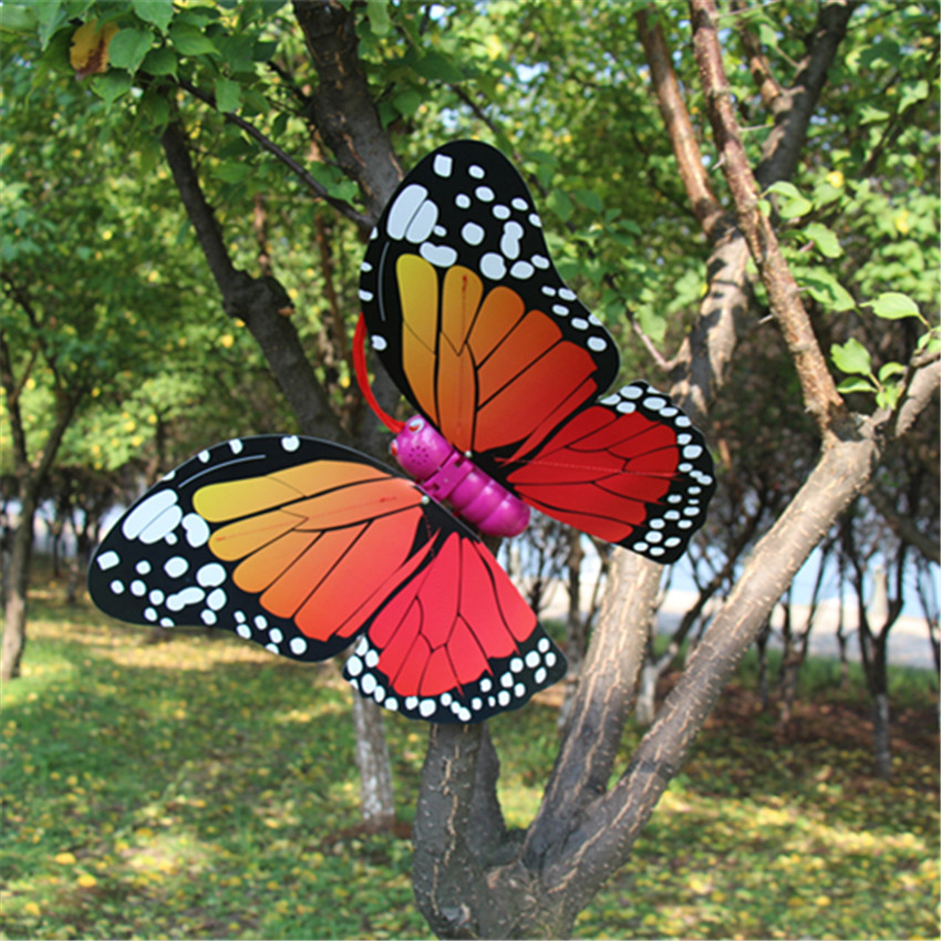 IMG_0555_副本_副本