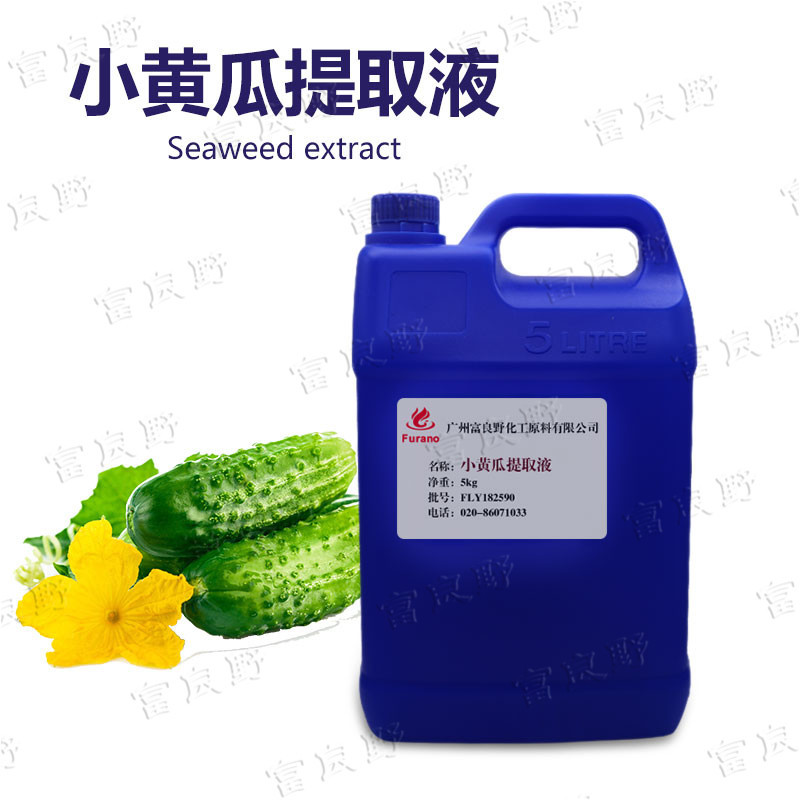 批发 国产 小黄瓜提取液 小黄瓜萃取液