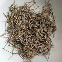 中药材香薷草 香茹草 每件500克