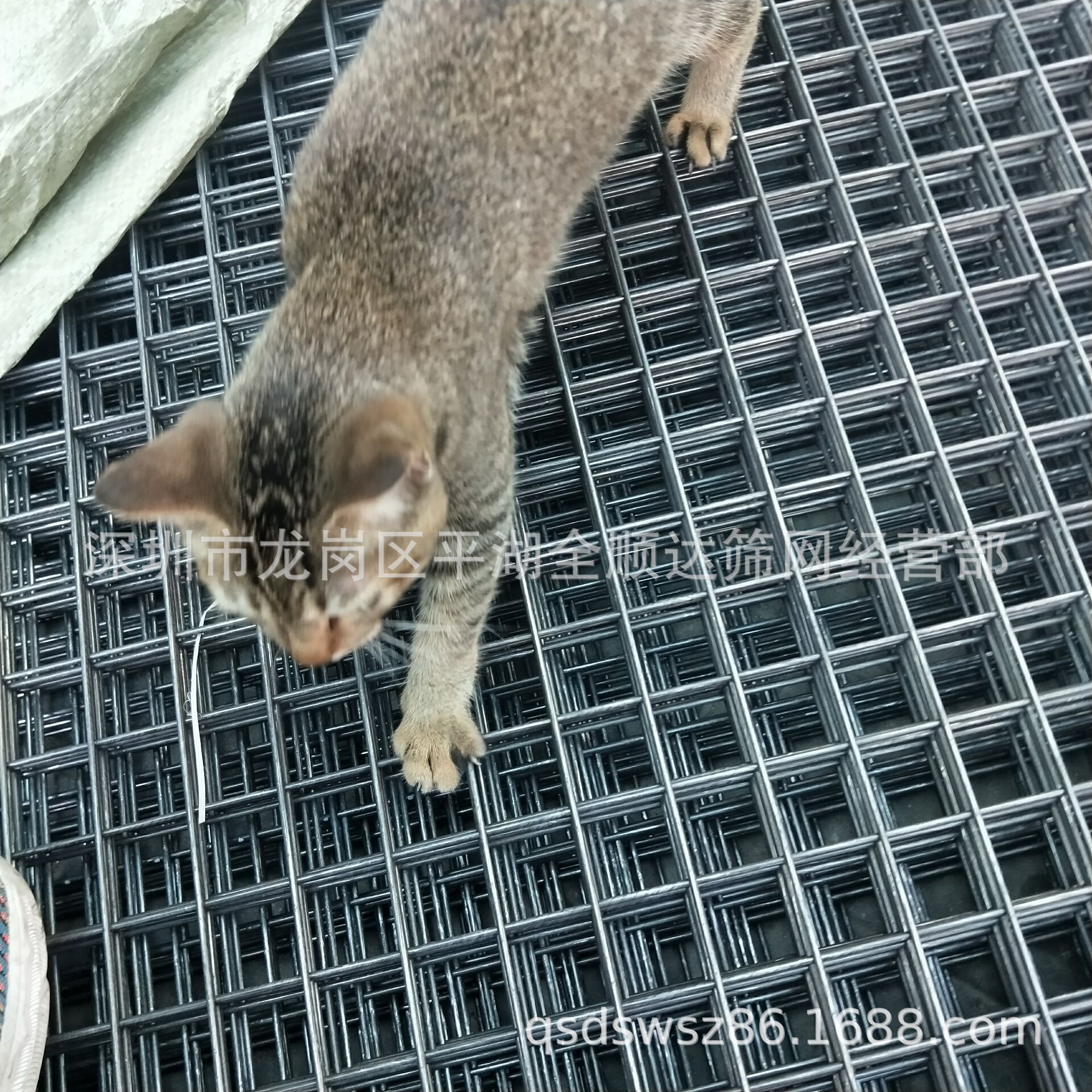 钢筋网片 焊网片 铁丝网 方孔网