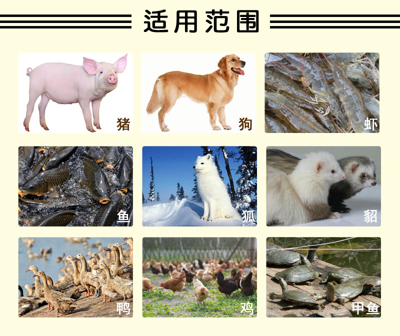 适用范围 拷贝