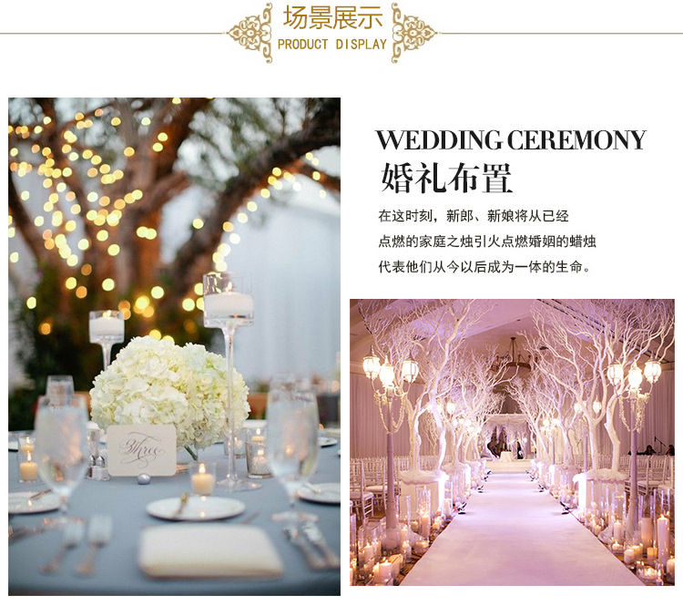 TB2SQctuXXXXXbiXpXXXXXXXXXX_!!