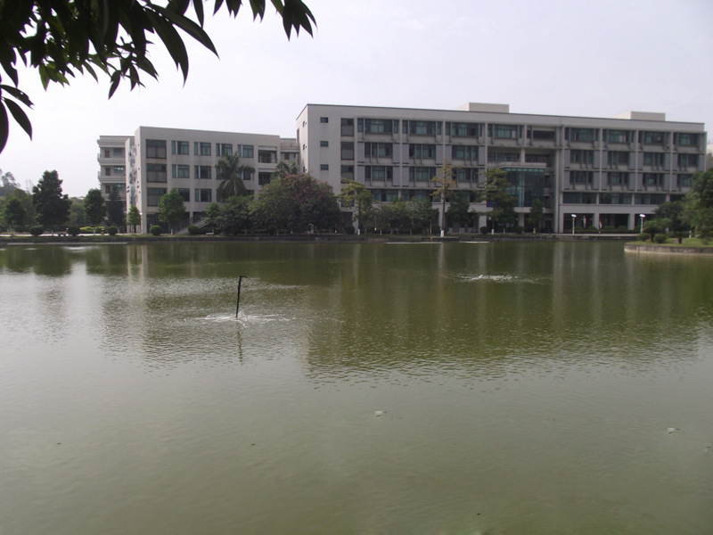 江苏 杭州 苏州 浙江 净化浮床,人工浮岛,水上花园,水体生态净化|ms