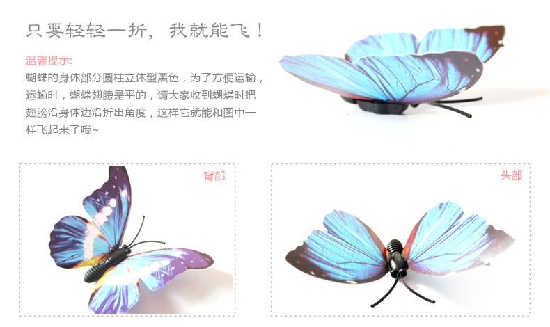 H-003全新描述_02