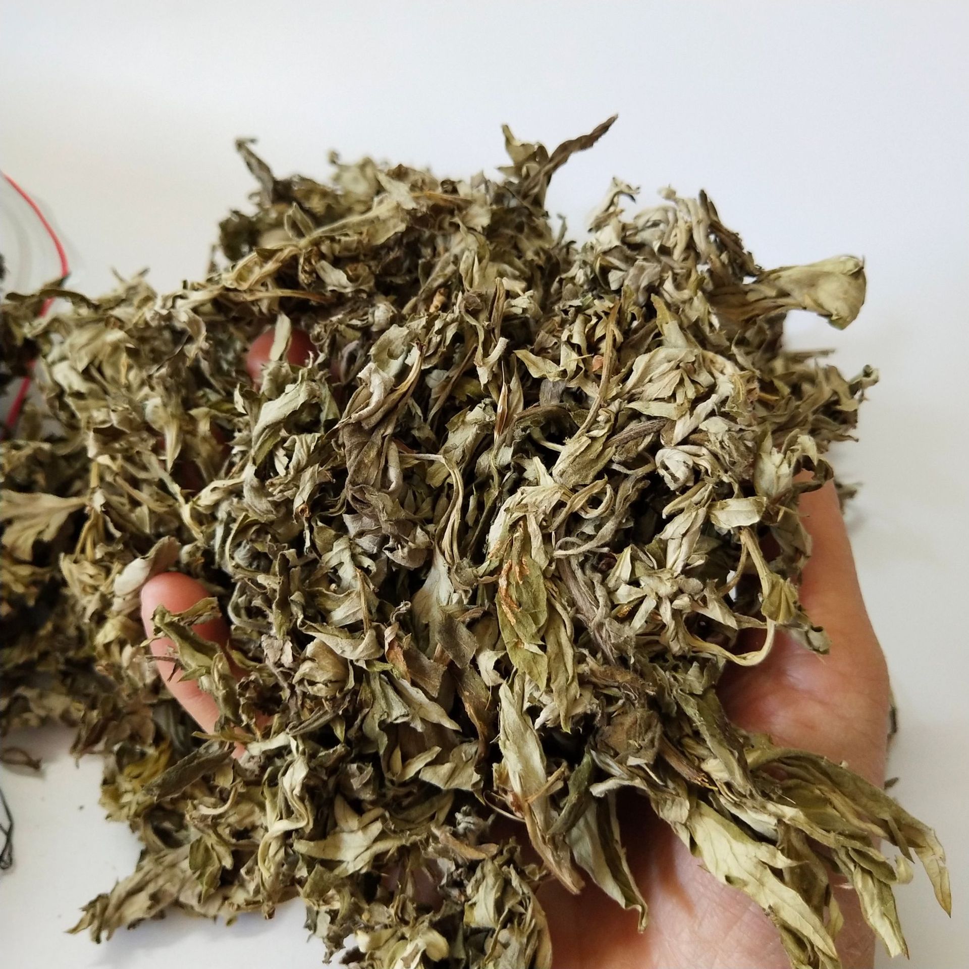 每包500g批發伏牛山野生 陳艾草艾葉草 幹艾草葉泡腳包泡澡陳艾葉