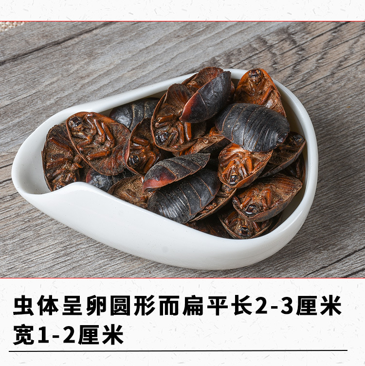 Tu Bie Chong (Eupolyphaga sinensis) — Dried Ground Beetle Herb, Food-Herb Decoction Material key features
