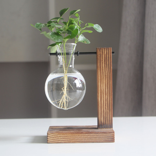 Creative wooden frame hydroponic vase green dill plant transparent glass flower arrangement container desktop ornaments home decoration supplies