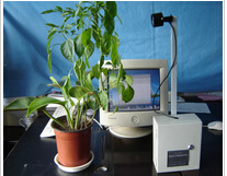 植物生长图像监测仪 型号:YK01-ECA-JC02库号：M254838