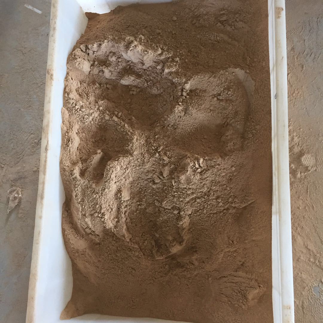 侧孢短芽孢杆菌 农业有机肥添加 防线虫 微生物菌 侧孢短芽孢杆菌