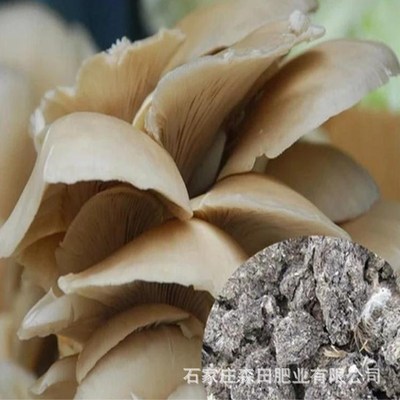 廠家批發幹雞糞 天然曬幹純雞糞 綠色有機肥 雙苞茹專用有機肥