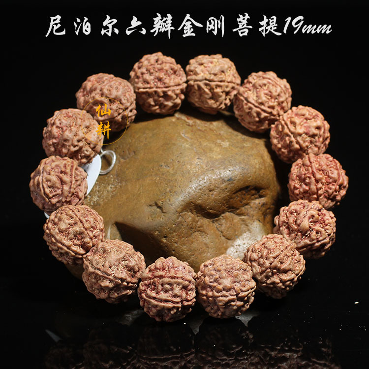 厂家尼泊尔五瓣六瓣藏式19mm大金刚菩提 红黄皮肉 精工菩提批发