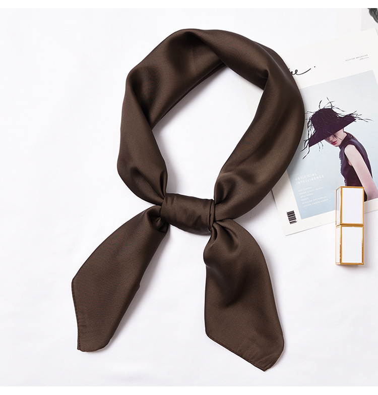 123g Weight Silk Scarf Classification Daily Occasion Satin Material Solid Color Pattern Summer, Spring, Autumn Season Women'S Gender Simple Style Style Women's Simple Style Solid Color Satin Silk Scarves 19