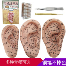 ��Ѩ�N ����ģ�� ��Ѩ̽� �����N ���N���� �������������N ���N