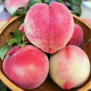 ��������{�����rˮ�����Ӵ���ѩ�Ҹߙnˮ������ˮ������ѩ�Ҵ��l