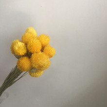 ��ϸɻ�DIY��������ǧ�ռt ��ݮ�� �����^�ɻ�E18