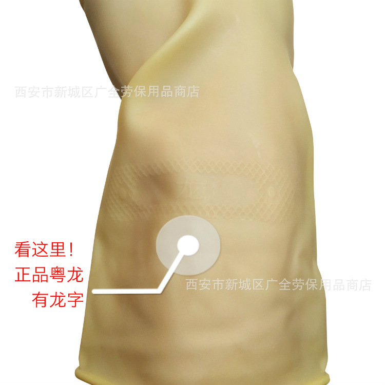 家务粤龙6