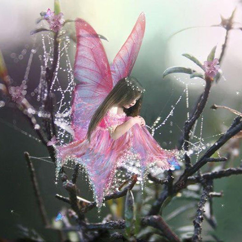 RW264 粉色露珠精灵.jpg