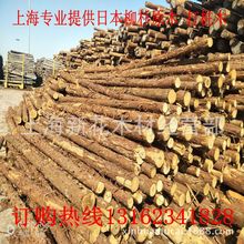 園林景觀工程專用杉木樁 2米4米柳杉原木 日本柳杉 柳杉原木價格