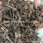 毛射香 中药材毛麝香 五凉草 毛老虎 饼草 酒子草 正品干品