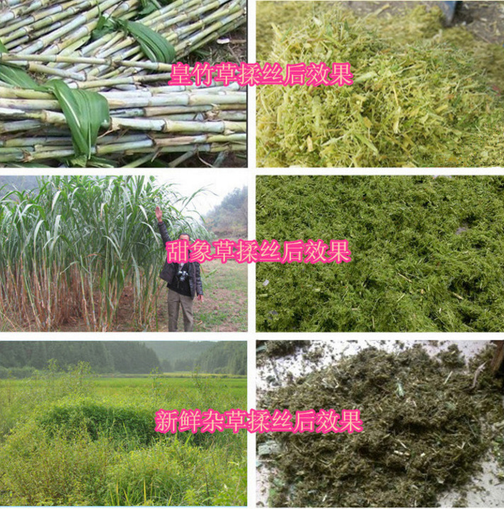 泸州家用两吨铡草机 4吨铡草机