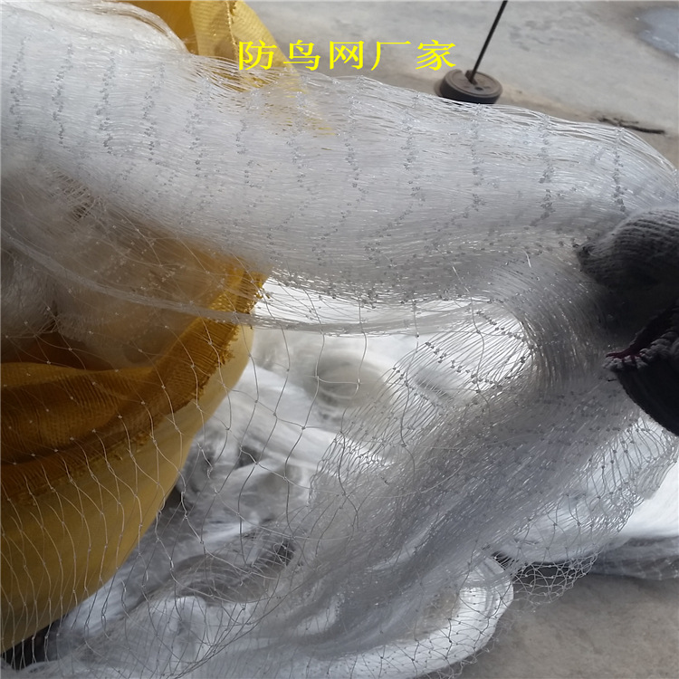 防鸟网