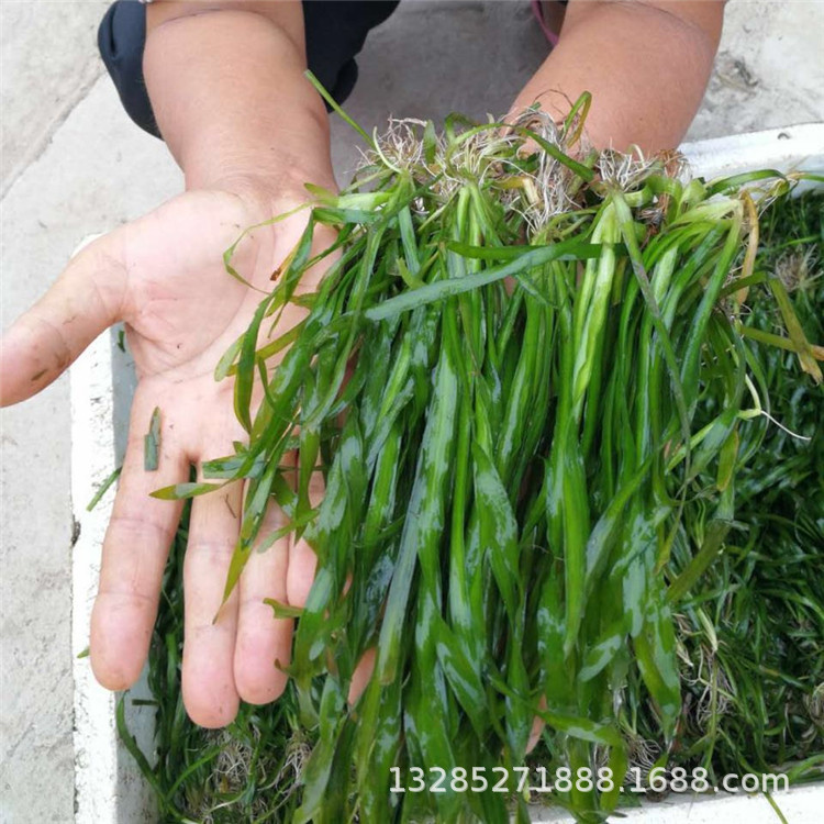 微信图片_20171123093050