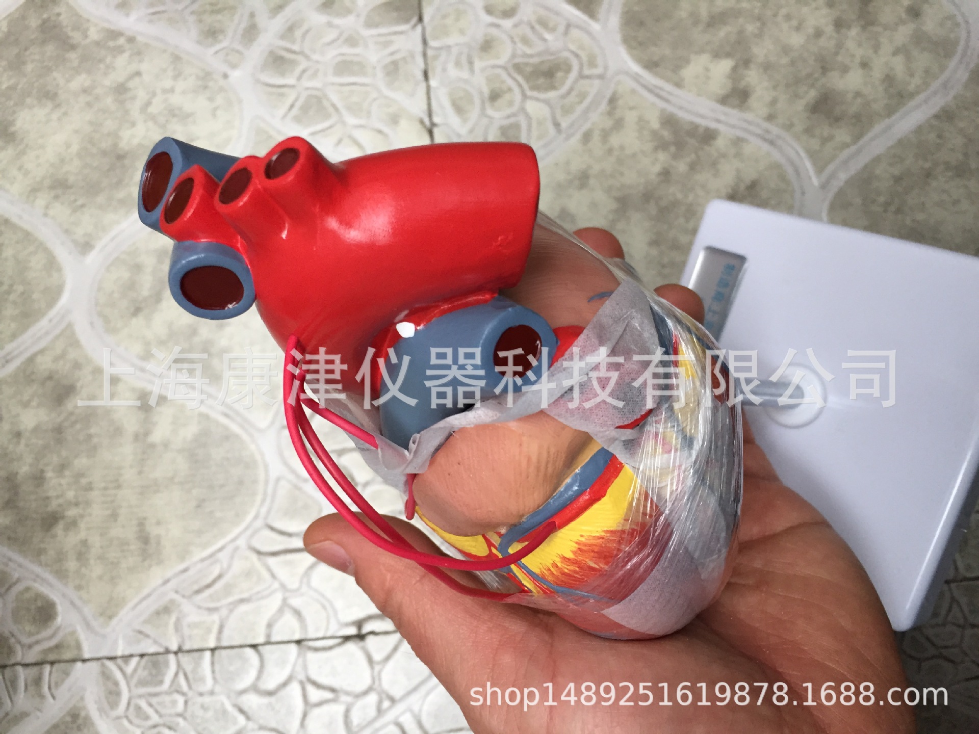 Heart
