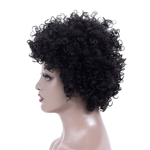 Curly Hair Wigs Exclusive wig, Synthetic wigs women&apos;s headgear, African small roll fluffy explosive head Short Wig headgear