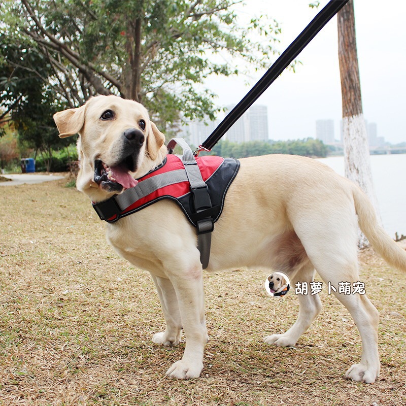厂家直销中大型防爆冲狗狗胸背带拉布拉多金毛牵引绳 调节范围大