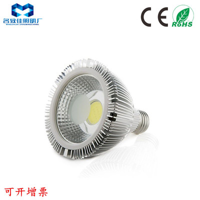 廠家直銷 PAR30 10W 20W LED射燈 par30-COB燈杯 LED螺口射燈