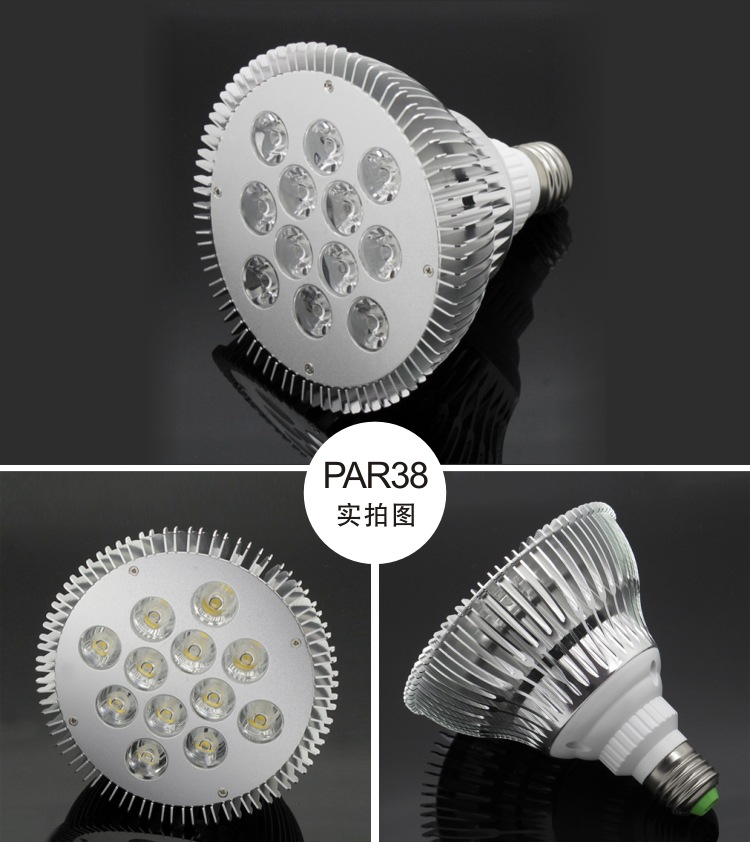 PAR30 PAR38射灯112