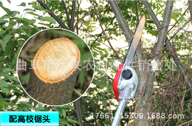高枝鋸 (1).jpg