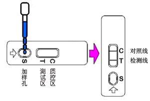 胶体金卡检测结果1