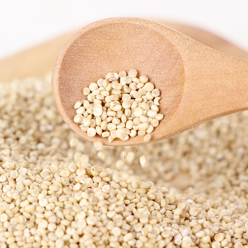 食品类粮食作物营养丰富现货零售白藜麦批发黎麦定制青海藜麦米|ms