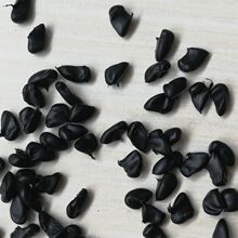 TPE65�Ⱥ�ɫ�z�� �ԮaTE-65Aܛ�|�С��߻؏��Ҿ���ƷTPE��ɫ�w��