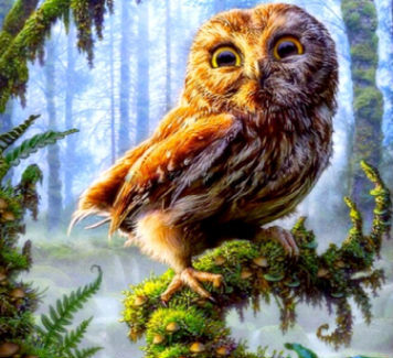 DW749A 猫头鹰35x35cm.jpg