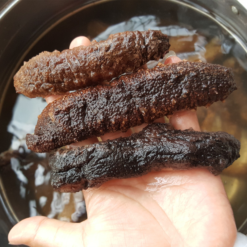 Dried sea cucumber wholesale Japonicus Dried sea cucumber Sea cucumber Red Sea Cucumber Black Sea Cucumber 500g sea cucumber