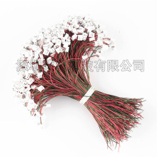 �S��ֱ�N30*0.08���������PH2.0����2P���������LED�B�Ӿ��ӹ�