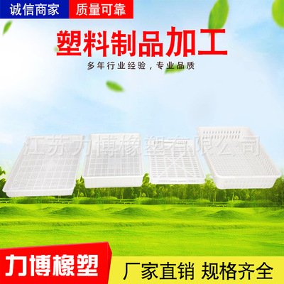 镂空冷冻盘 塑料周转筐镂空浅盘 海鲜盘鱼盘肉盘草莓蓝莓水果框|ms