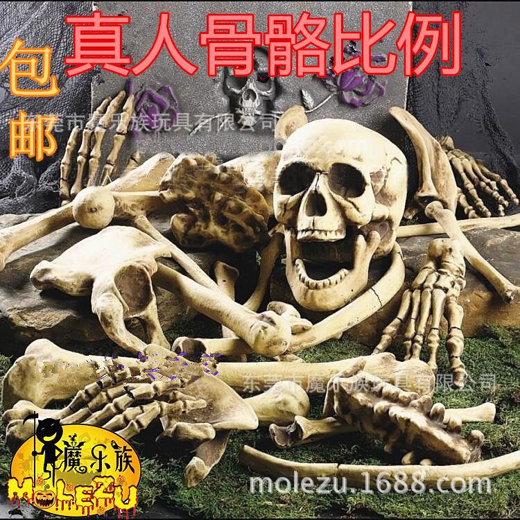 QQ图片20180111202654