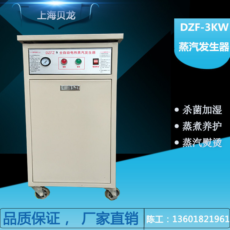 multi-function fully automatic Electric heating steam Generator hotel food Steam boiler Conserve Electric boiler