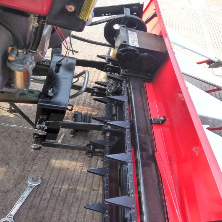 237697044565236594_副本