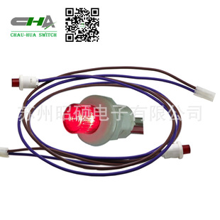 Suzhou Supply Quality CHA Emergency Lighting Control Switch with Wiring Harness in Various Lights, Wiring Harness Optional