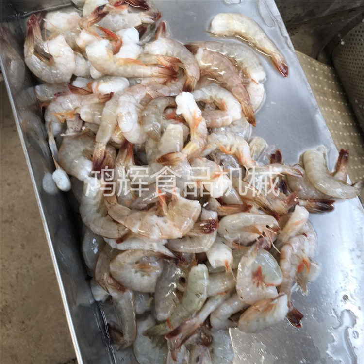 虾子挤肉机 南美白虾脱皮机 螃蟹挤肉机 不锈钢分离机