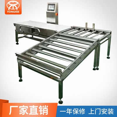 重载型检重秤  箱装称重机  自动称重剔除机|ru